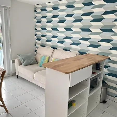 Lumineux Pres Plage, Animaux Admis, Parking Prive - Fr-1-236-164 Διαμέρισμα *